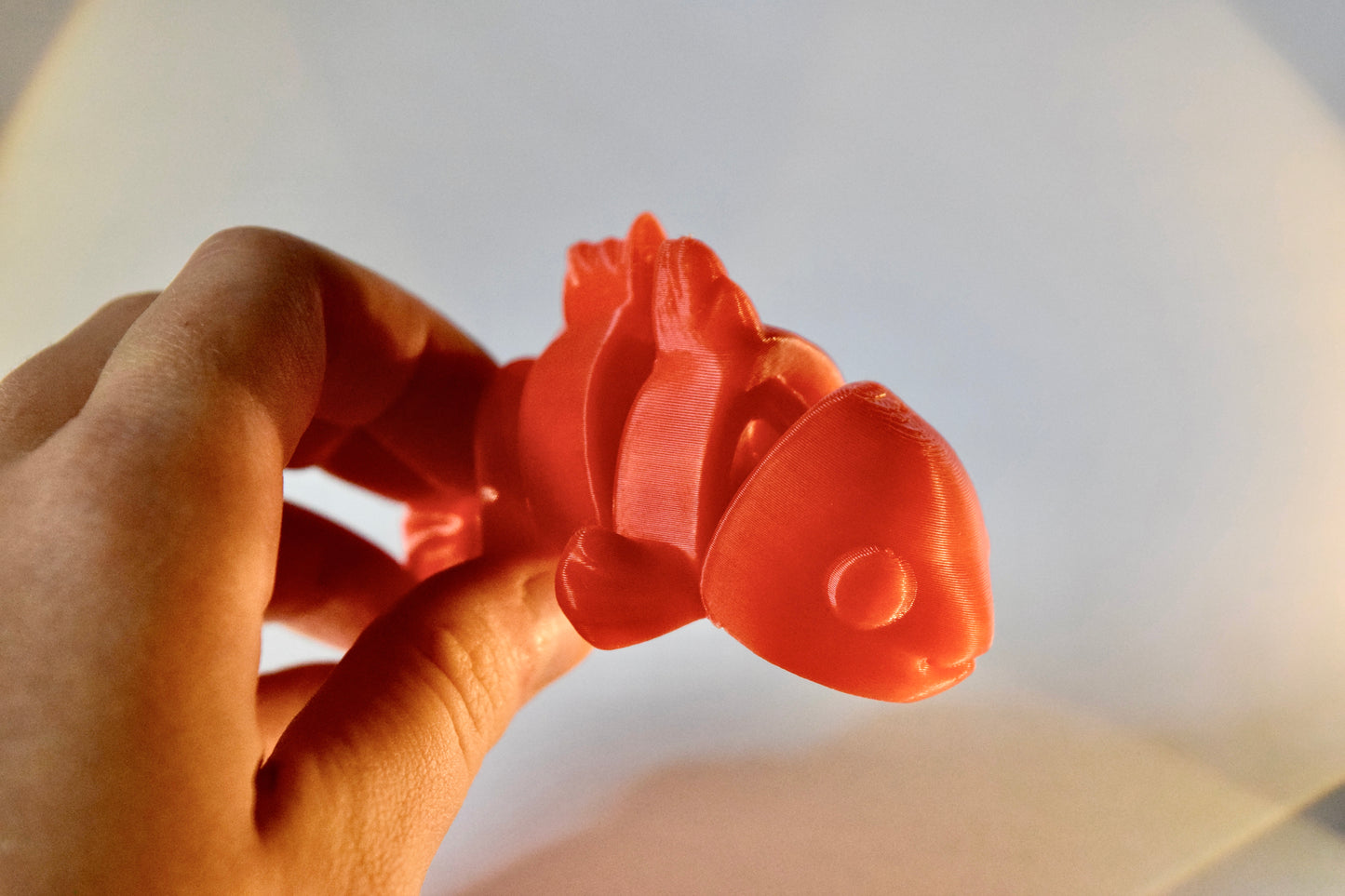 Large Fish Fidget Toy