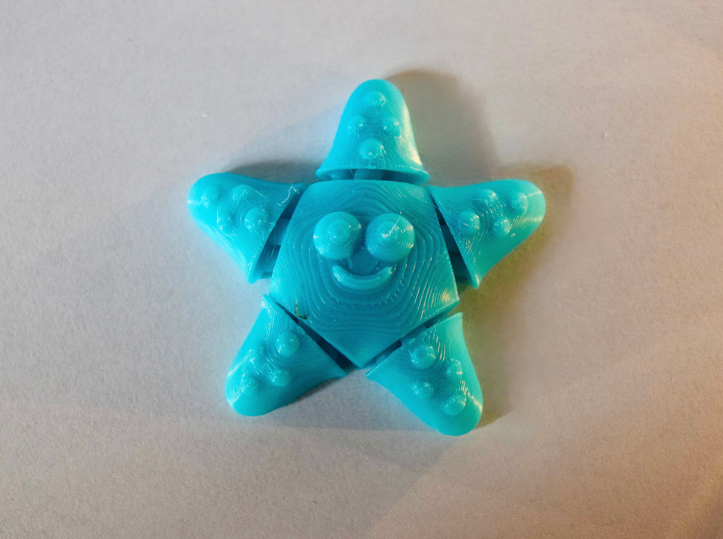 Small Starfish Fidget