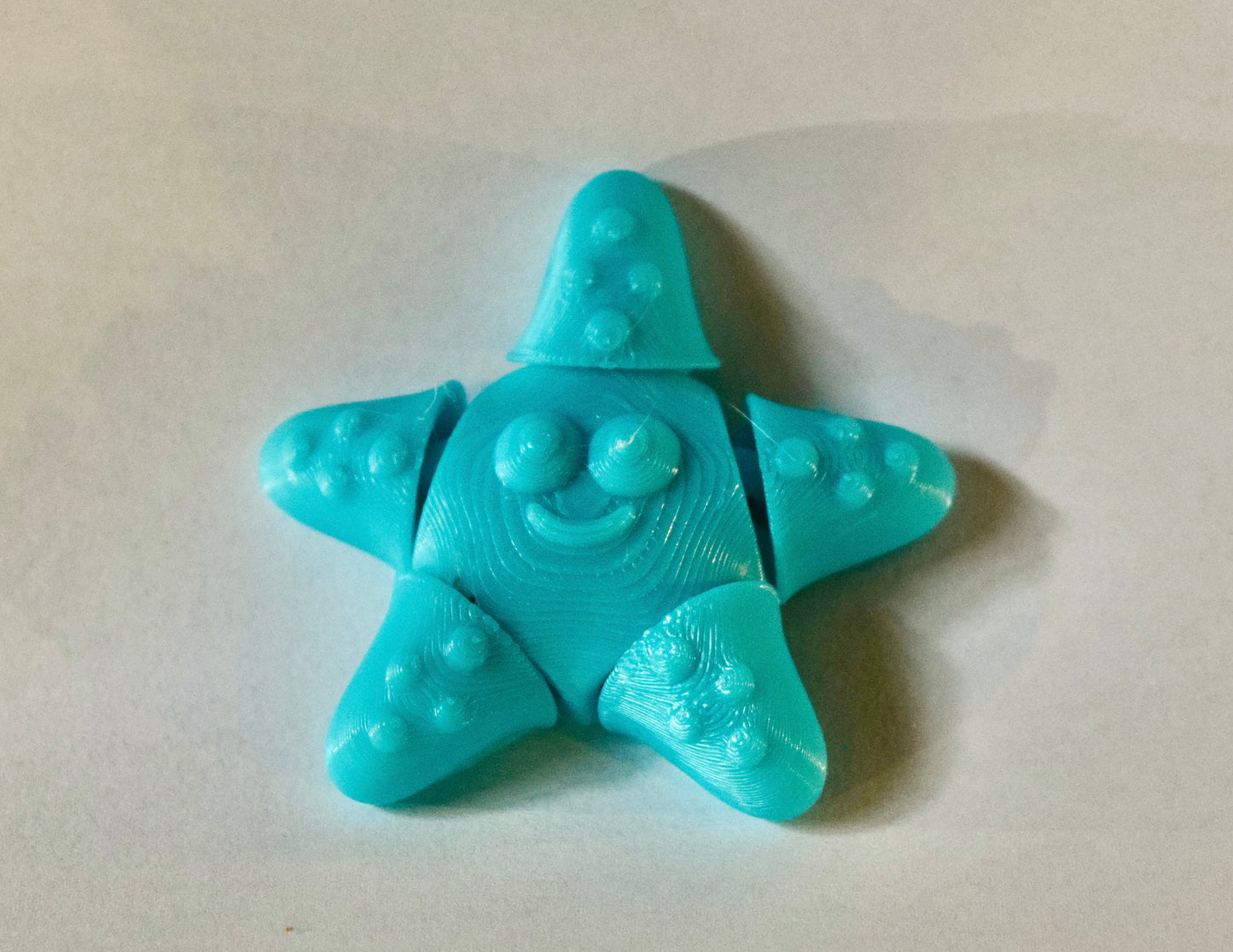 Small Starfish Fidget