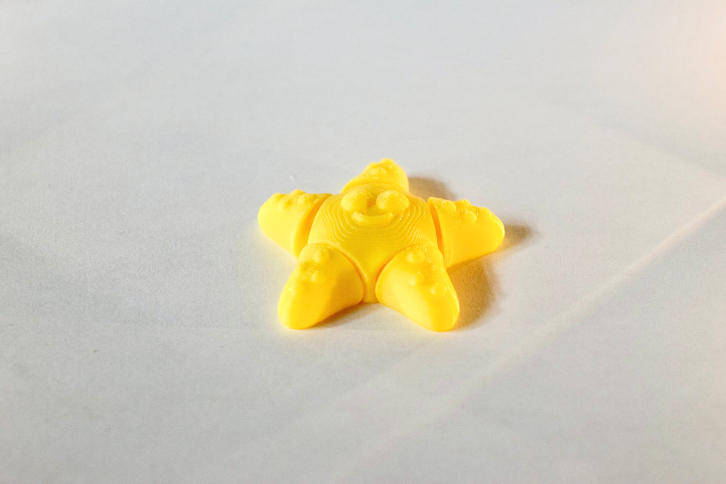 Small Starfish Fidget