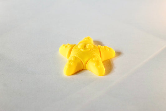 Small Starfish Fidget