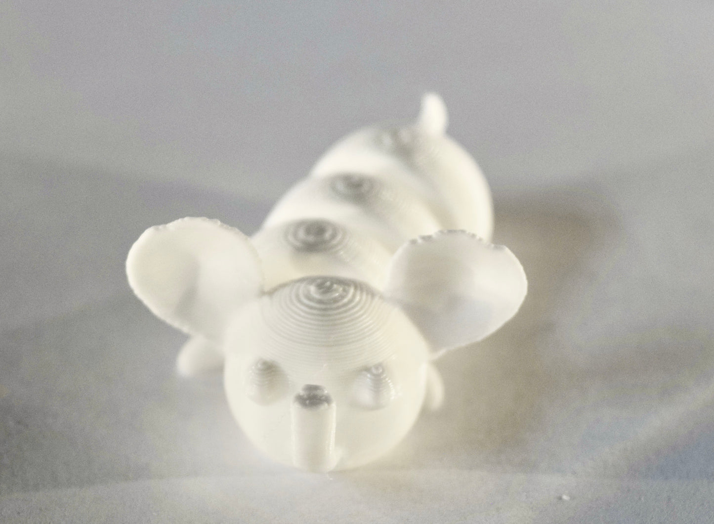 Small Elephant Fidget